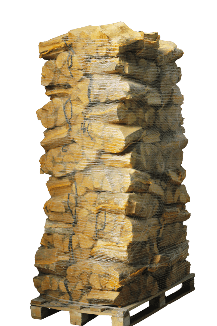 essenhout-in-net_3_2048x2048.png Brennholz Gigant Kammergetrocknetes Eschen Brennholz 88 Netze 30-33 cm – Bild 1