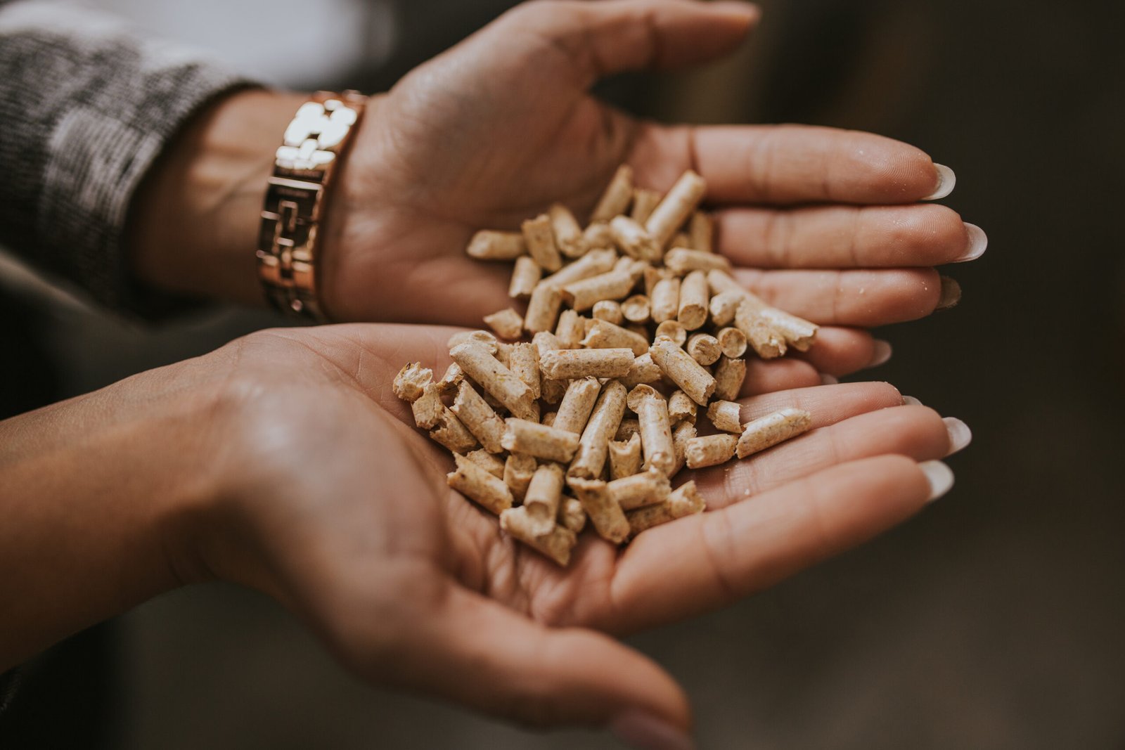 Holzpellets und Brennholz von PELLET SÜD